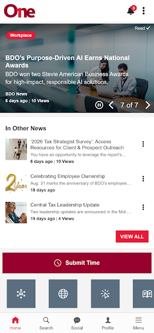 BDO Workspace Screenshot 0
