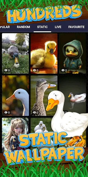 duck wallpaper Screenshot 3