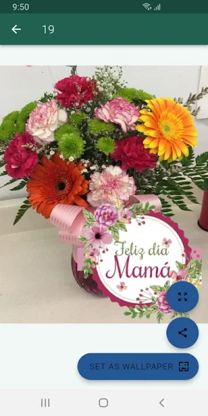 Flores y poemas para mamá Screenshot 2