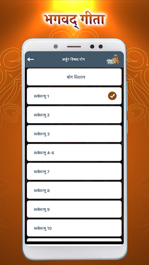 Bhagavad Gita Hindi Screenshot 2