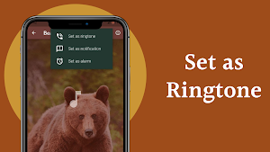 Bear Sounds Screenshot 3