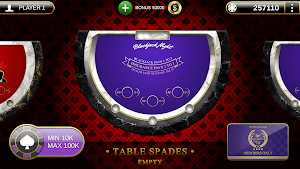 Blackjack Night Screenshot 3