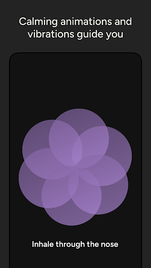 Bliss: Breathing Exercises Screenshot 1