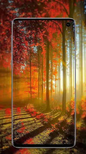 nature wallpaper Screenshot 3