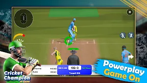 World T20 Cricket Kings Match Screenshot 3