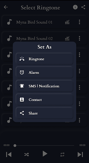 Mynas Bird Sounds Screenshot 3