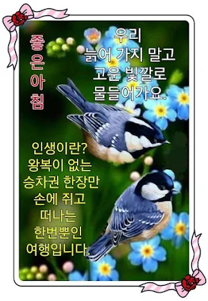 사진 좋은 아침 Screenshot 3