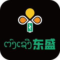 东盛充电