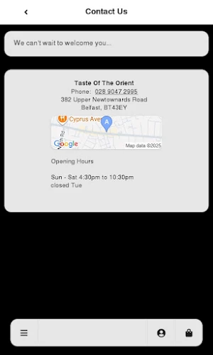 Taste Of The Orient Screenshot 1