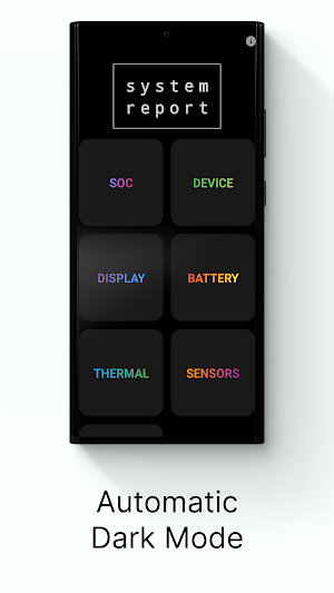 System Report Screenshot 3