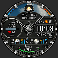 Hybrid Watch Face Weather W11