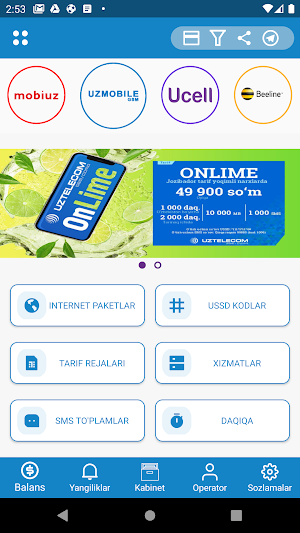Mobile USSD Screenshot 1