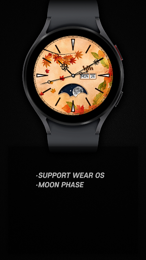 SamWatch Classic Autumn 2022 Screenshot 1