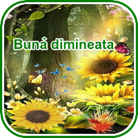 imagini de bună dimineața