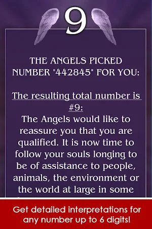 Angel Number Signs Screenshot 2