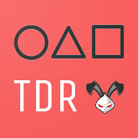 TDR