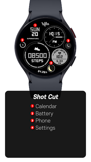 SamWatch FIT C 2024 Screenshot 1