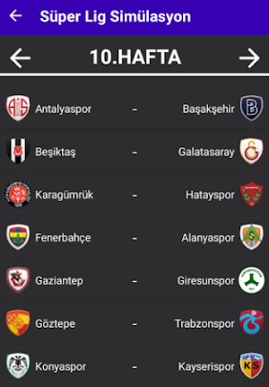 Türkiye Futbol Ligi Simülasyon Screenshot 2