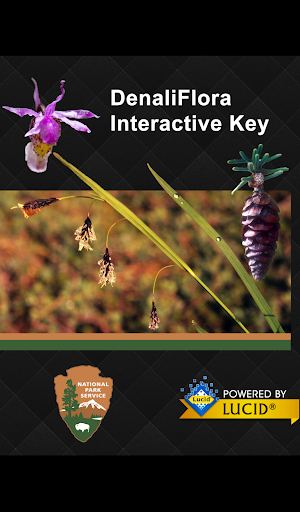 DenaliFlora Interactive Key Screenshot 0