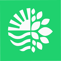 Canary Green