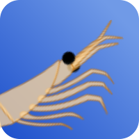 Ciclo do krill