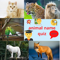 animal quiz - animal name quiz