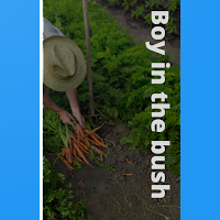 The boy in the bush