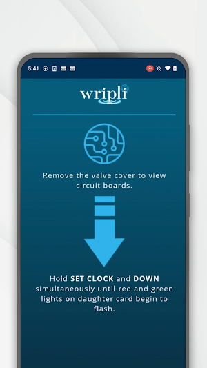 Wripli Connect Screenshot 0