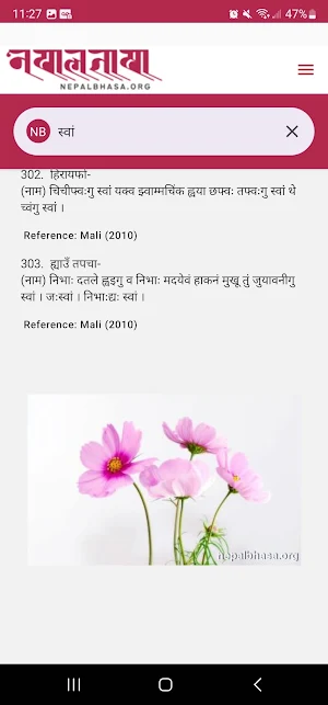 Nepalbhasa Screenshot 3