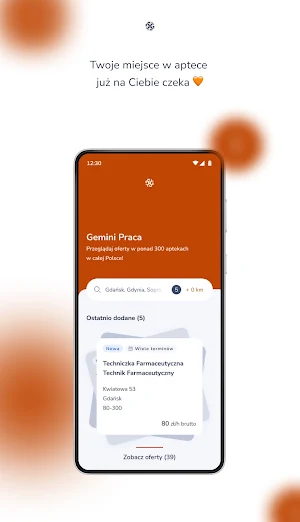 GEMINI PRACA Screenshot 0