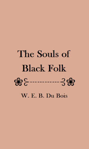 The Souls of Black Folk eBook Screenshot 0