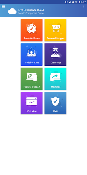 Oracle Live Experience Demo Screenshot 0