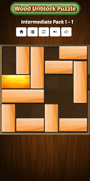 Unblock Wood Puzzle Games 2021 Screenshot 1