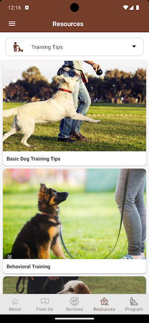 Dynamic Dogs NC Screenshot 3