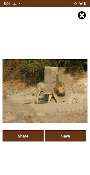 Gujarat Wildlife - Forest Screenshot 2