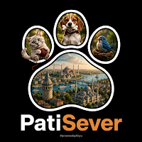 PatiSever