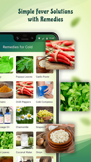 Home remedies for fever Screenshot 1