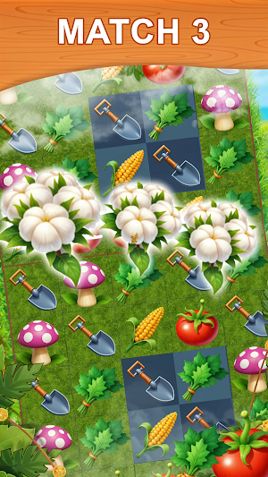Village Farm Match 3 Screenshot 1