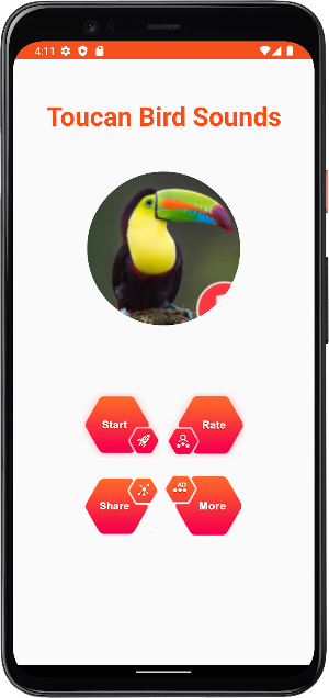 Toucan Bird Sounds Screenshot 1