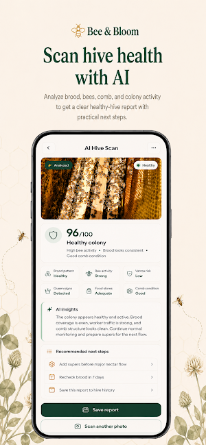 Bee & Bloom Screenshot 2