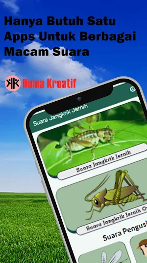 Suara Jangkrik Jernih Screenshot 0