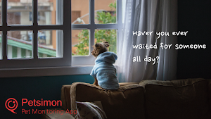 Petsimon pet monitoring camera Screenshot 0