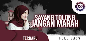 Dj Sayang Tolong Jangan Marah Screenshot 0