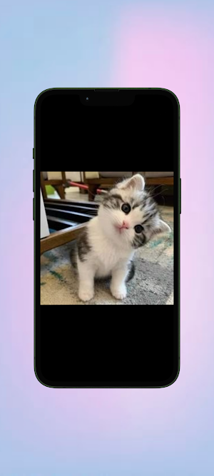 Kucing WalL Screenshot 3