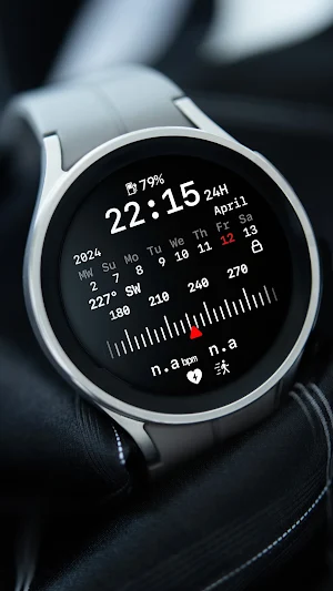 nbWatch: Compass X Screenshot 3