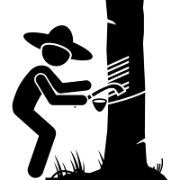 Sanpyar