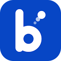 Bolsillito
