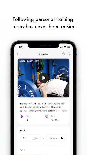 Revenite Boxing Screenshot 2