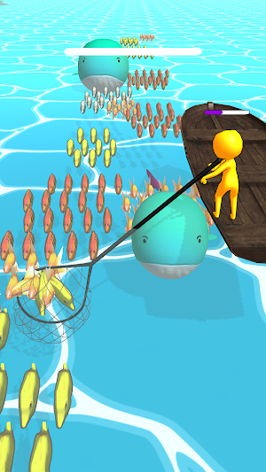 Catch Fishes Screenshot 3