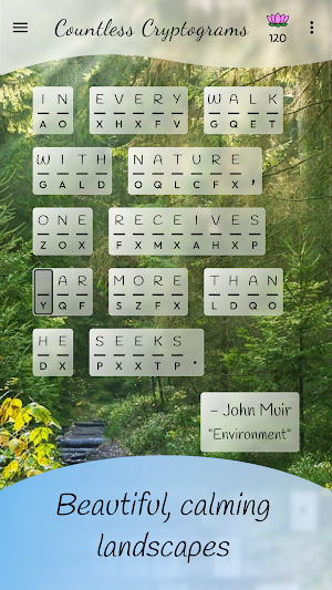 Countless Calming Cryptograms Screenshot 3
